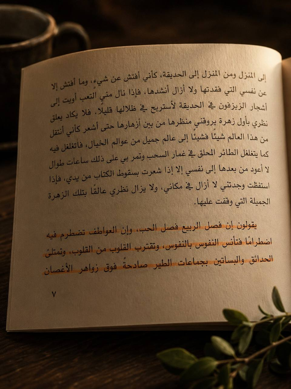 ماجدولين