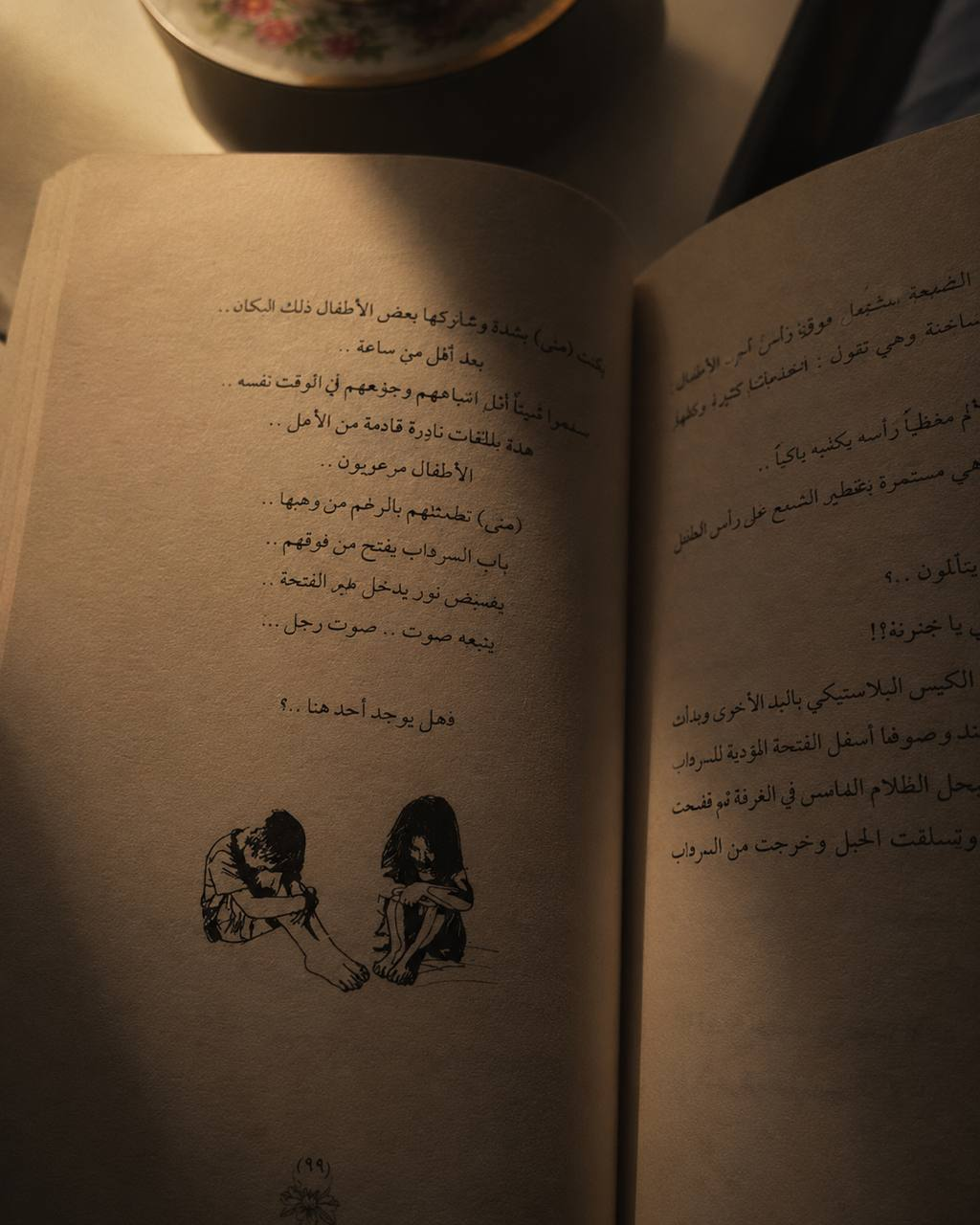 شبكة العنكبوت
