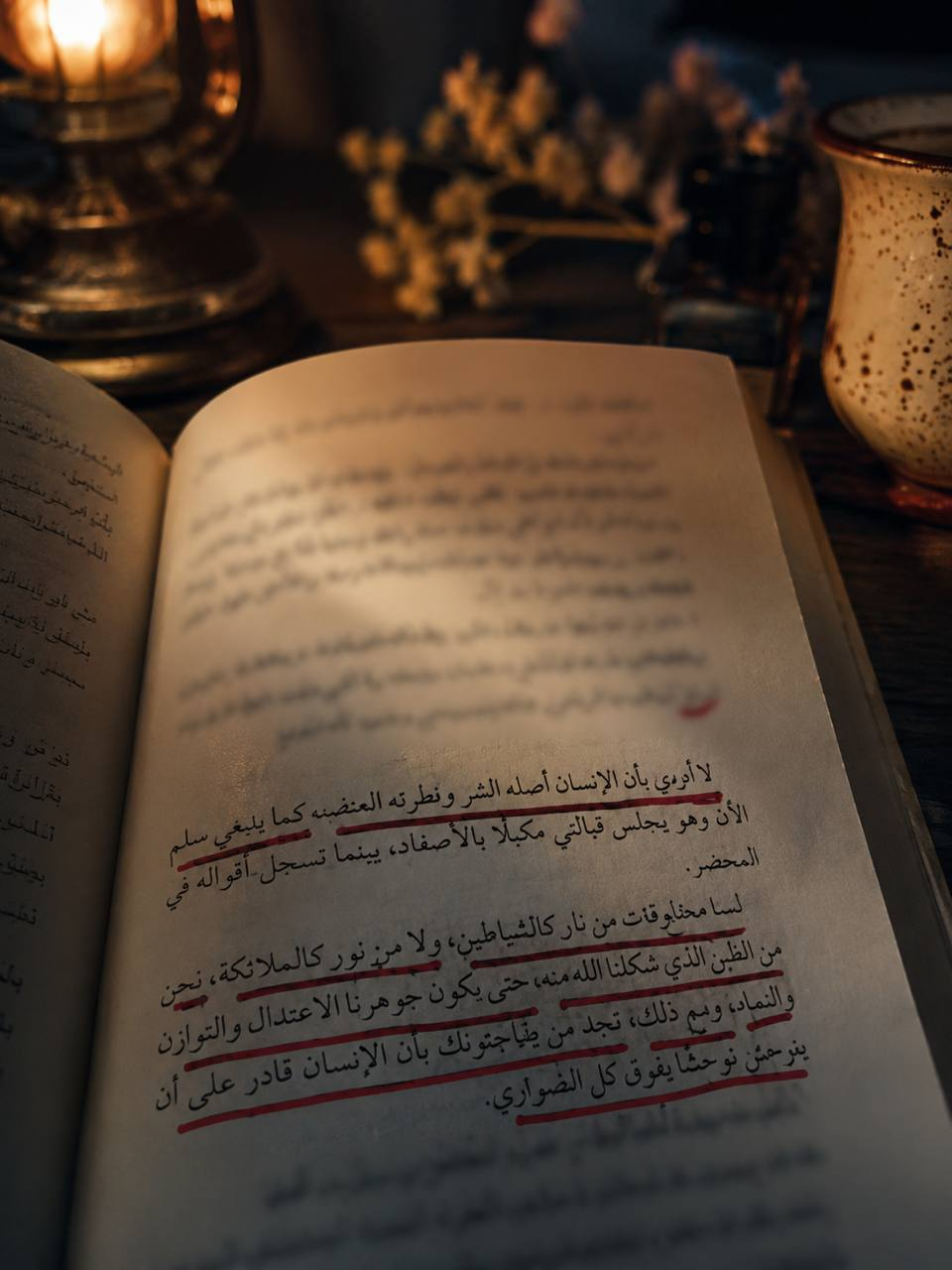 قضية مخالب القط